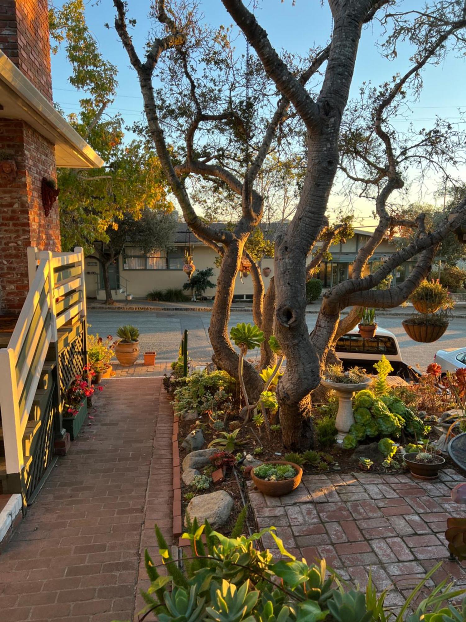 Carmel Garden Inn Ngoại thất bức ảnh